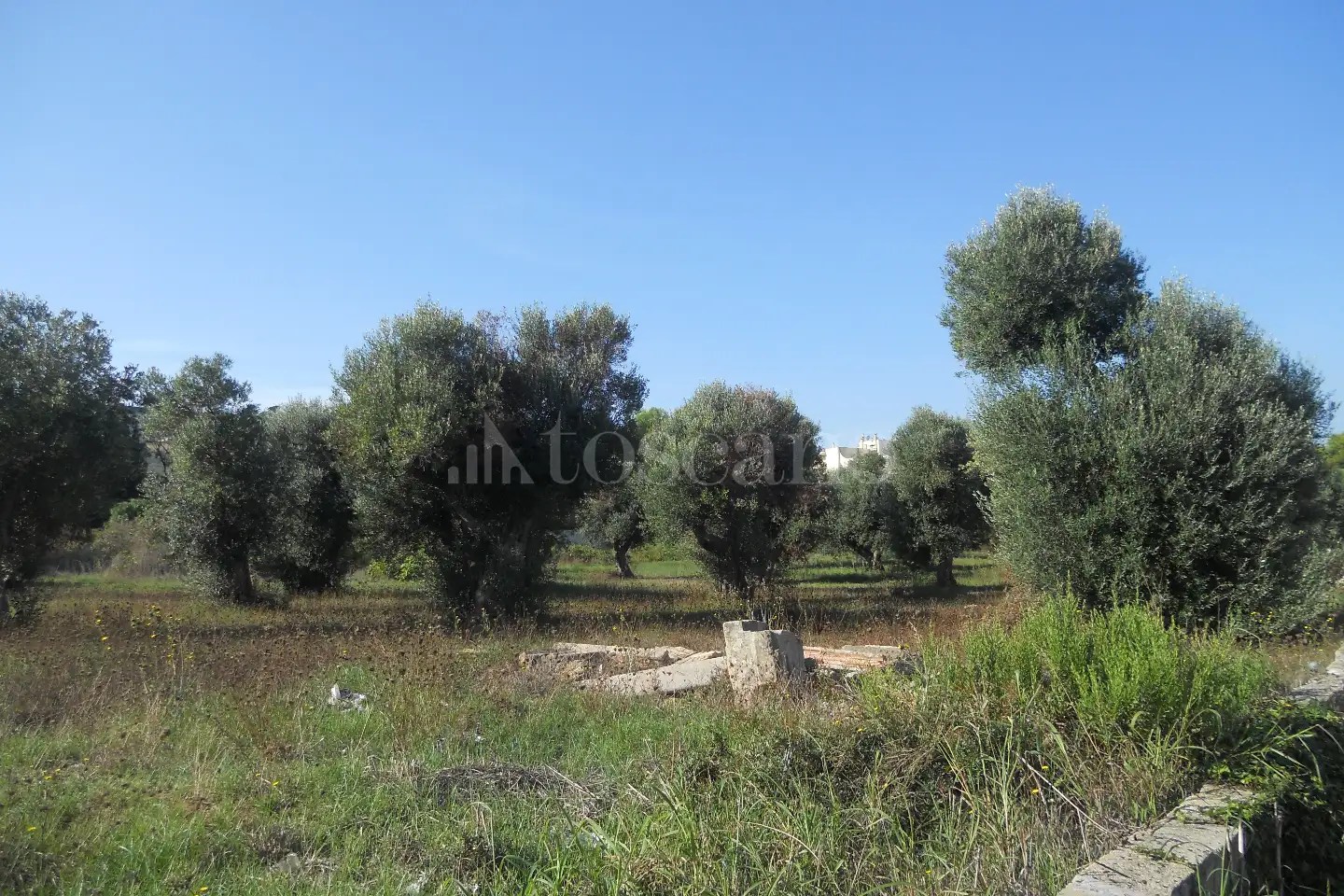 Edificabile Residenziali in vendita di 43.364 mq a €2.200.000 (rif. 20/2026)