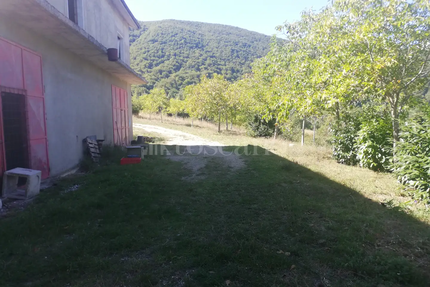 immagine annuncio 7 di 13
