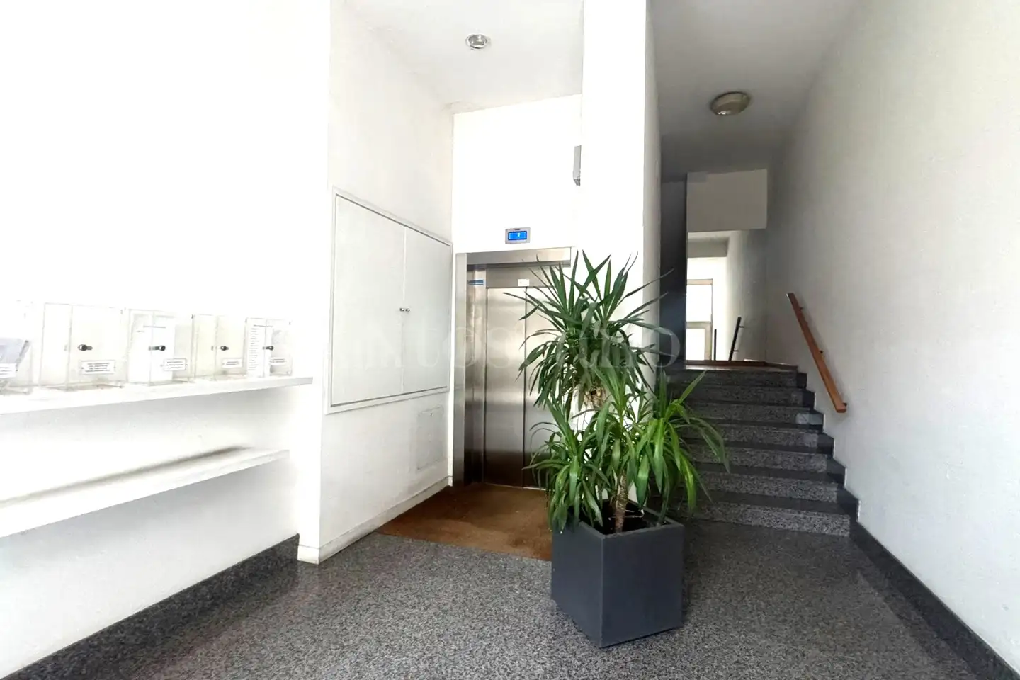 Ufficio in affitto di 66 mq a €750 (rif. 6/2026)