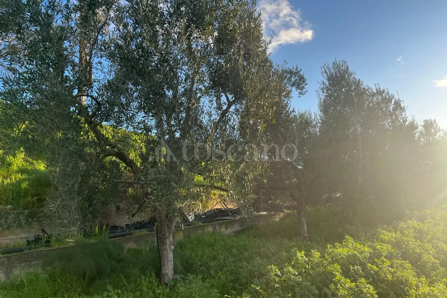 Agricolo in vendita di 10.000 mq a €35.000 (rif. 7/2026)