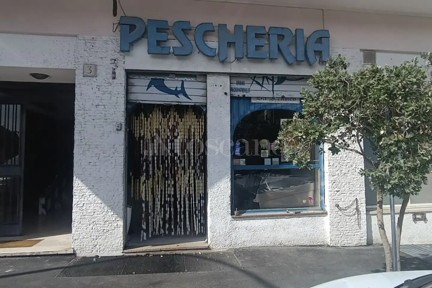 Negozio in affitto di 50 mq a €900 (rif. 13/2026)