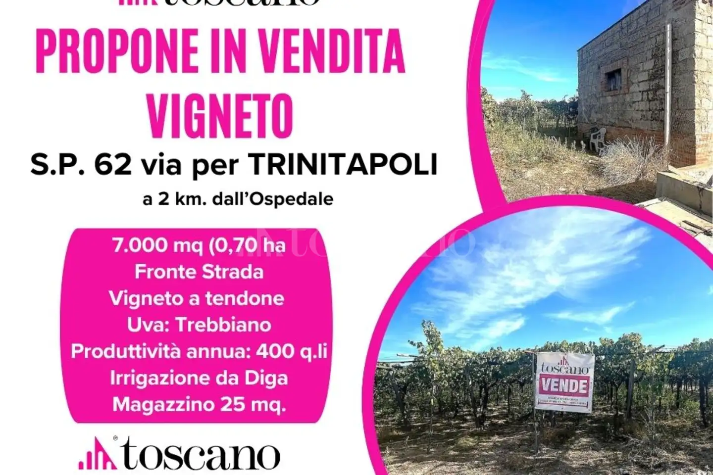 Agricolo in vendita di 7.000 mq a €69.000 (rif. 54/2025)