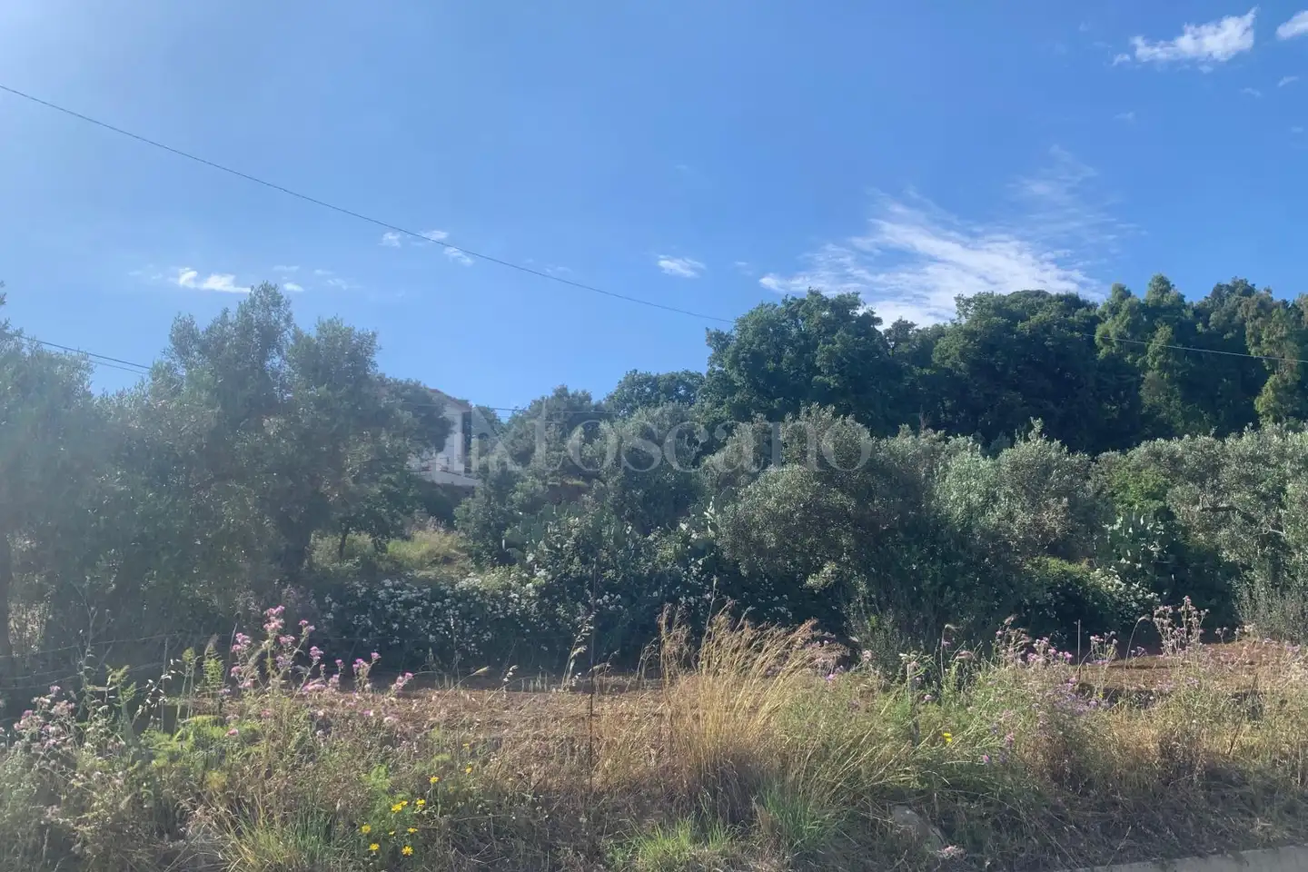 Edificabile Residenziali in vendita di 10.000 mq a €215.000 (rif. 19/2025)