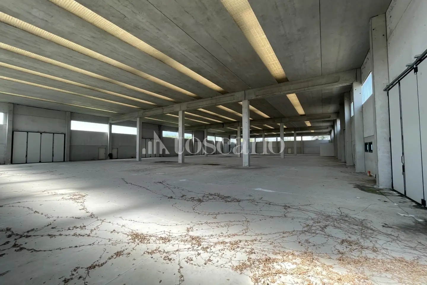 Capannone in vendita di 2780 mq a €748,000 (rif. BL6145VE)
