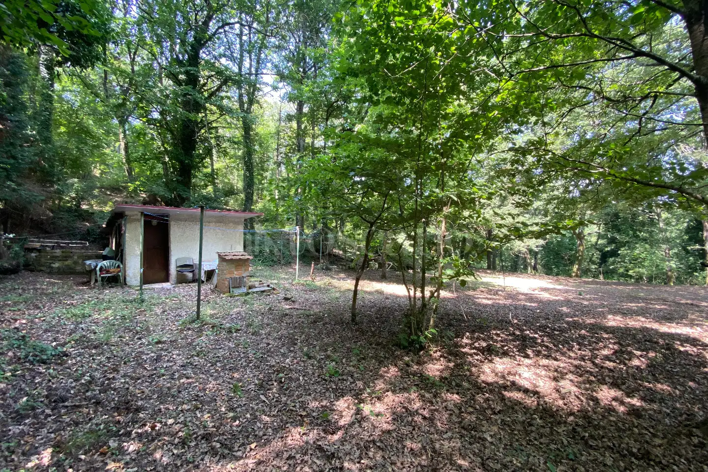 Agricolo in vendita di 5.000 mq a €19.000 (rif. 36/2025)