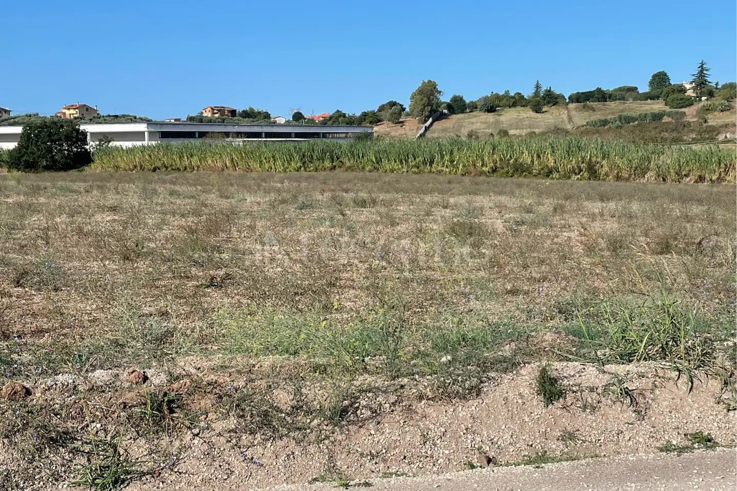 Agricolo in vendita di 40.000 mq a €180.000 (rif. 29/2026)
