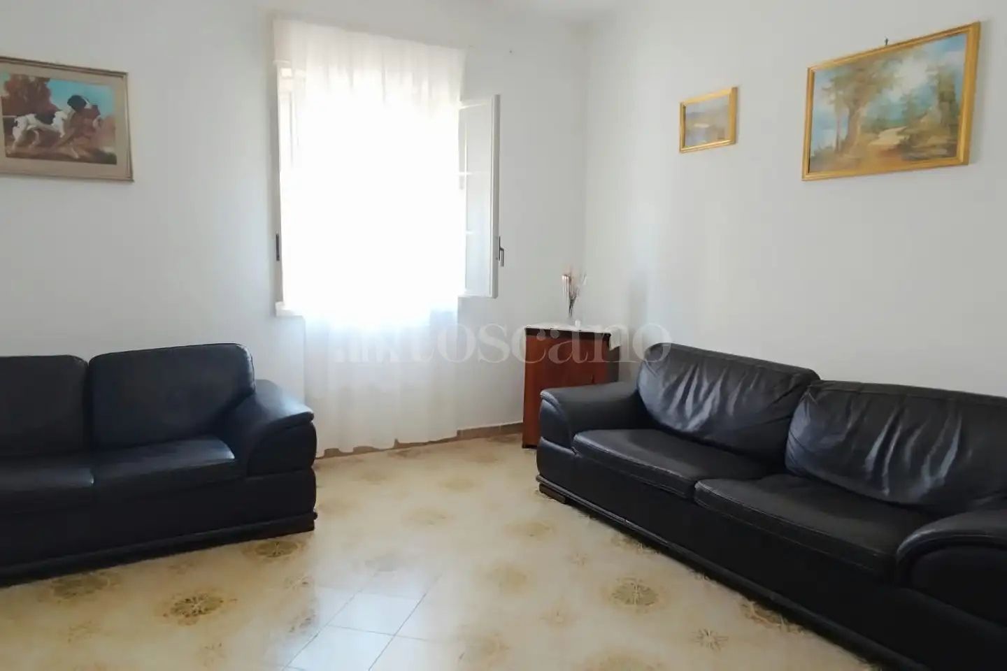 immagine annuncio 3 di 14