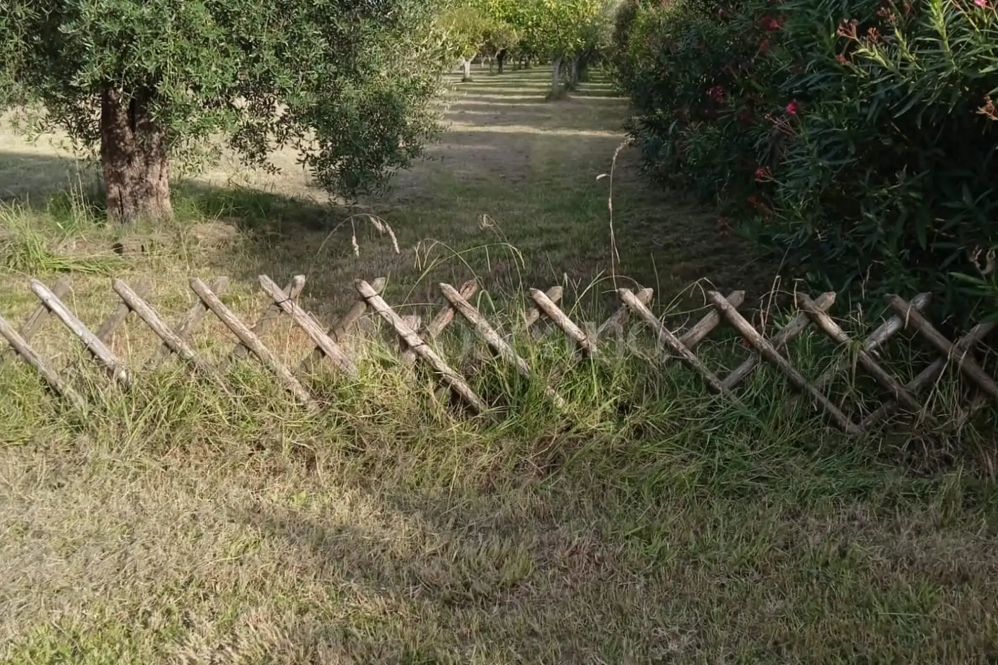 Agricolo in vendita di 3.500 mq a €18.000 (rif. 48/2025)