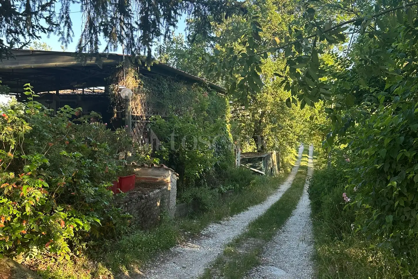 immagine annuncio 1 di 13