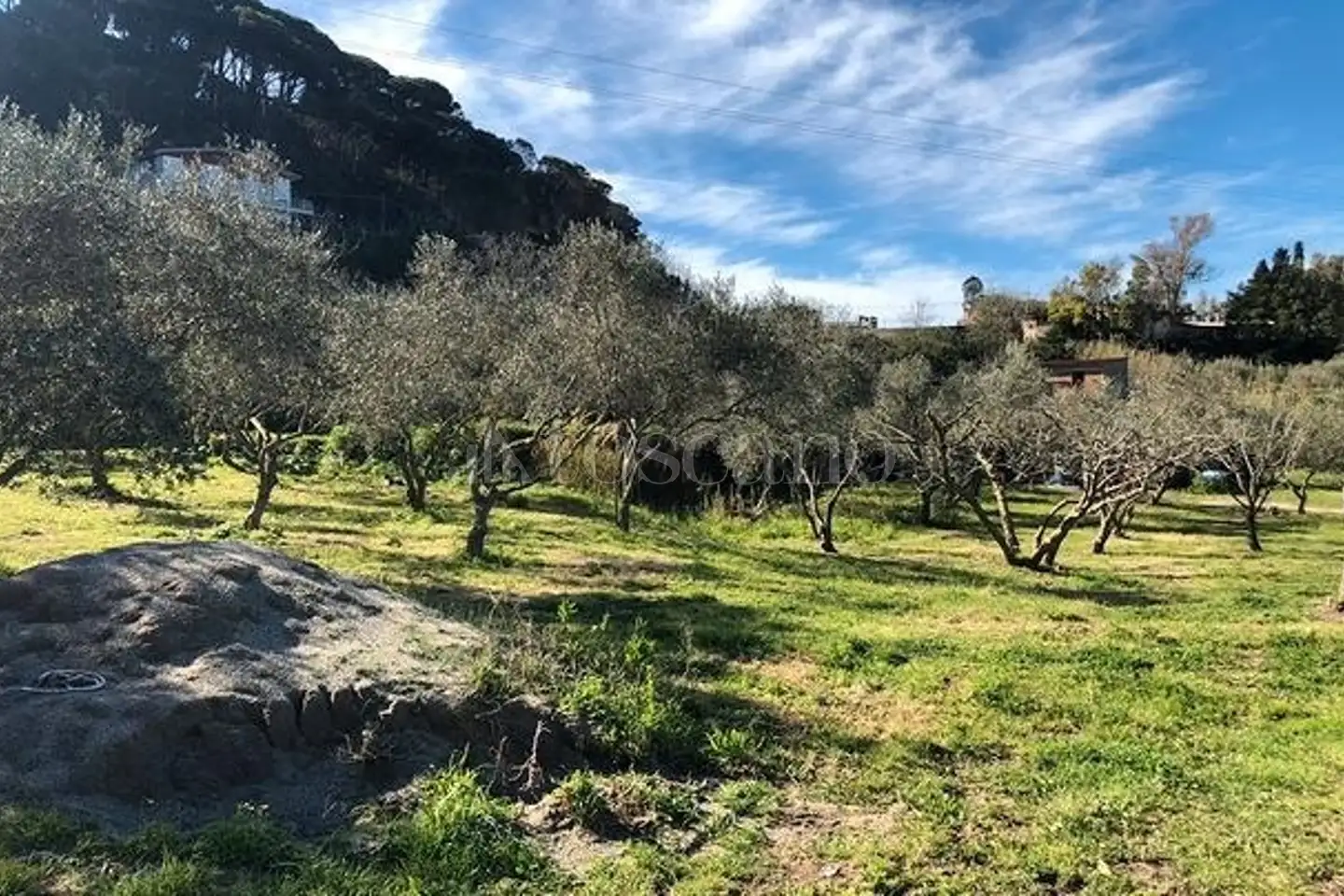 Agricolo in vendita di 16.504 mq a €95.000 (rif. 20/2026)