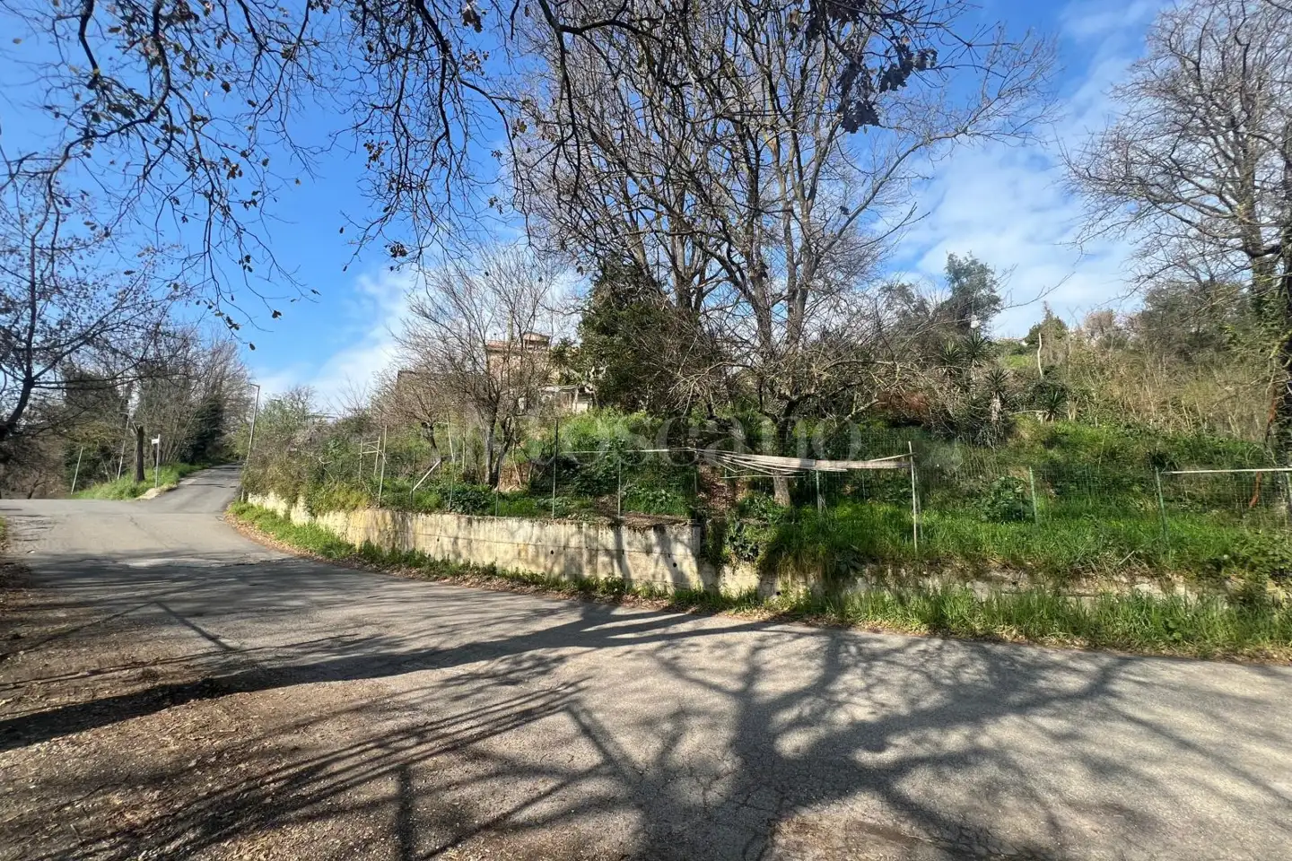 Agricolo in vendita di 1.000 mq a €49.000 (rif. 12/2025)