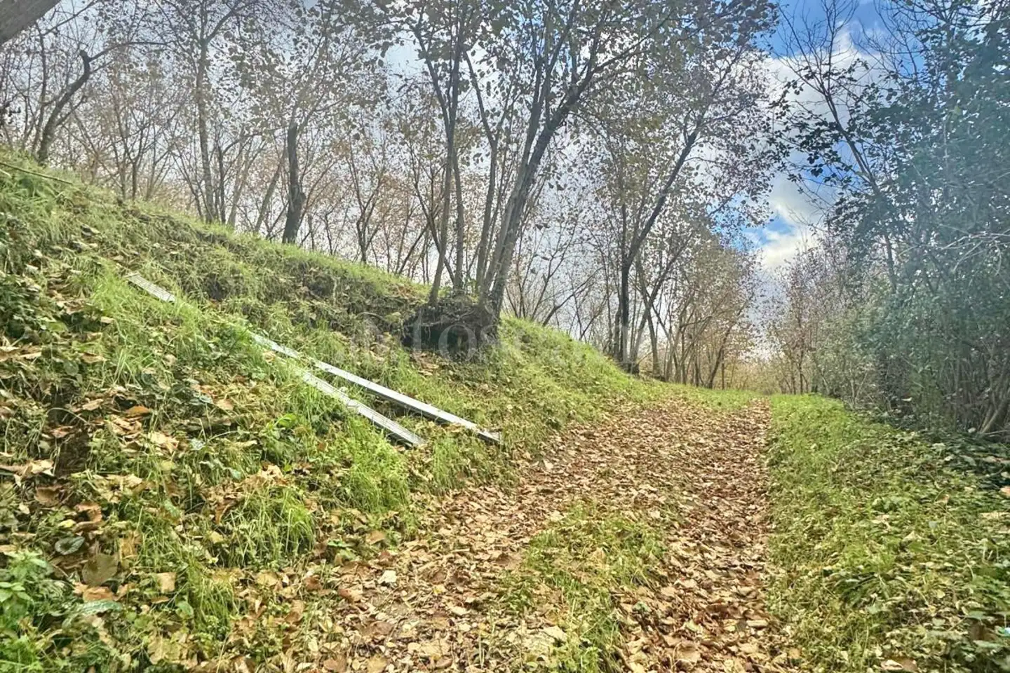 Agricolo in vendita di 25.000 mq a €80.000 (rif. 97/2024)