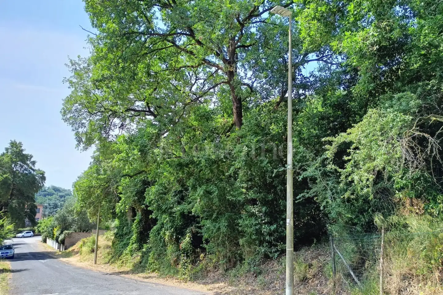 Agricolo in vendita di 3.000 mq a €55.000 (rif. 38/2025)