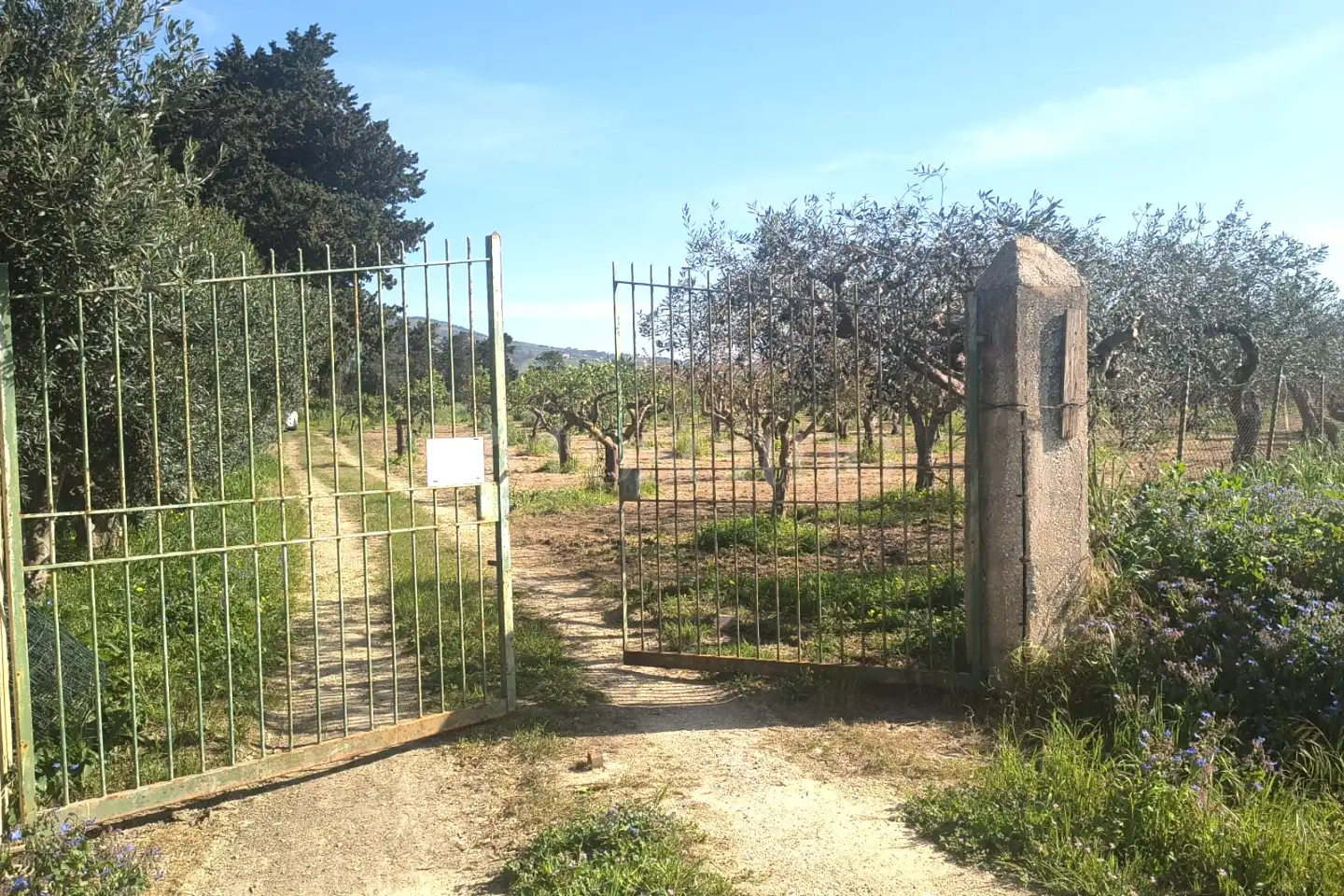 Agricolo in vendita di 14.880 mq a €108.000 (rif. 27/2026)