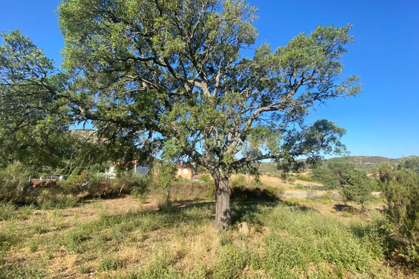 Edificabile Residenziali in vendita di 1.177 mq a €99.000 (rif. 3/2026)