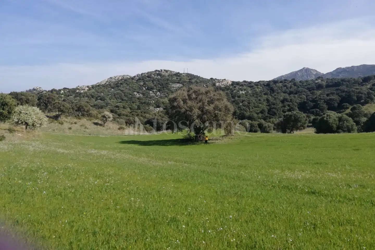 Agricolo in vendita di 194.010 mq a €250.000 (rif. 56/2024)