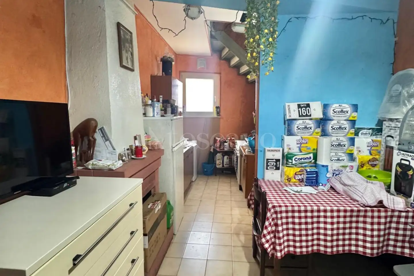 immagine annuncio 3 di 11