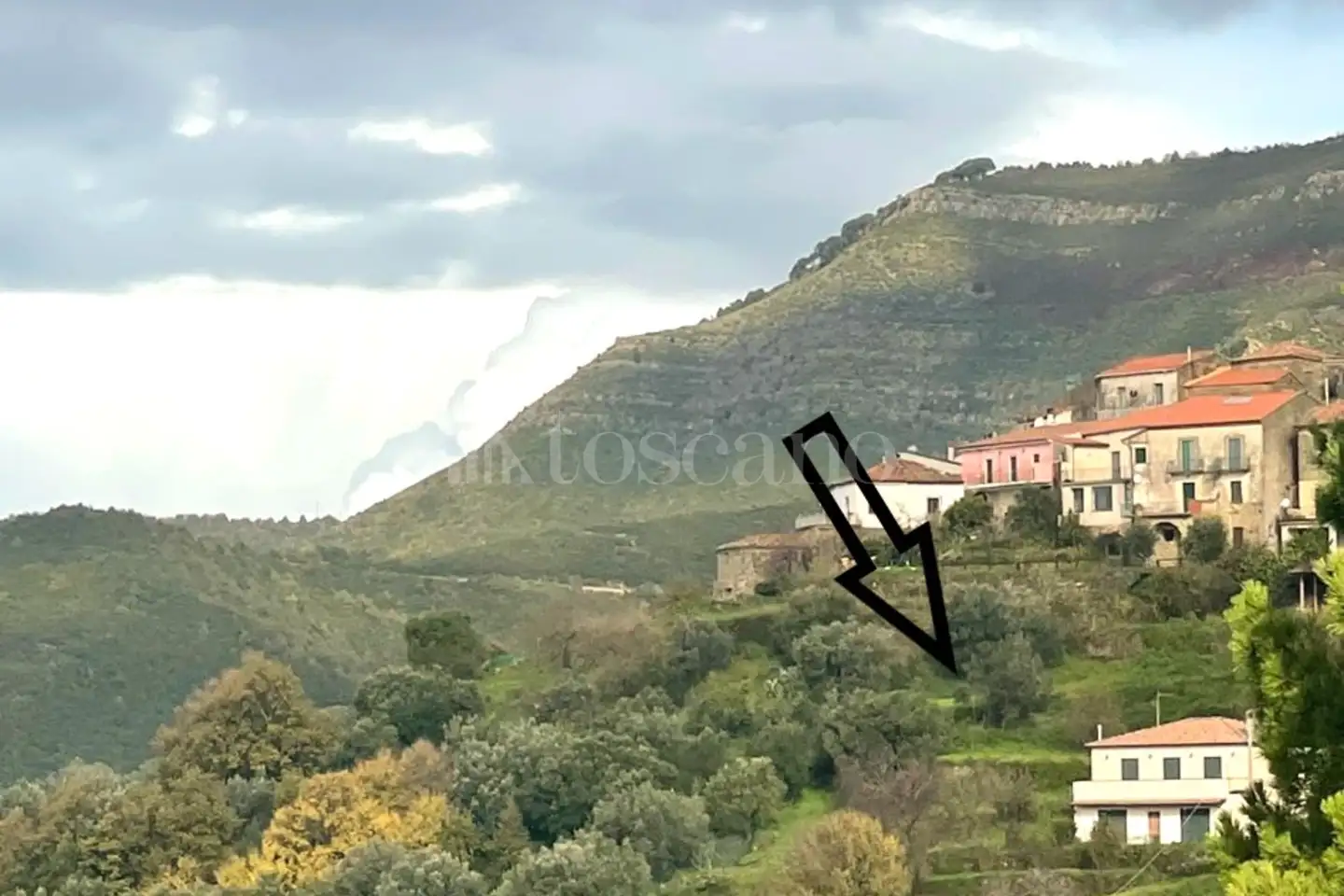 Agricolo in vendita di 7.000 mq a €125.000 (rif. 12/2025)