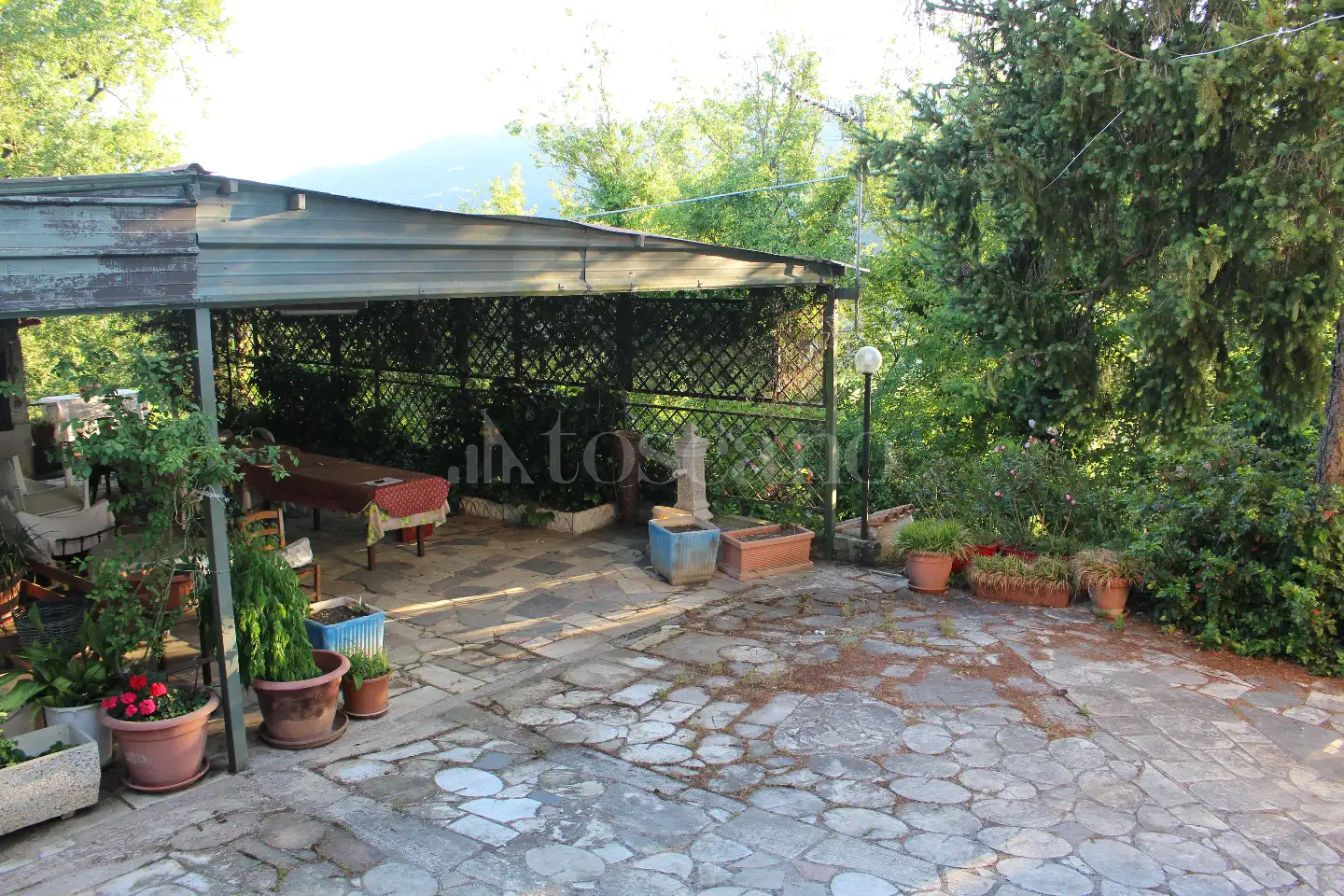 immagine annuncio 4 di 13