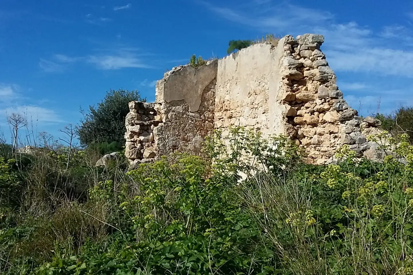 Agricolo in vendita di 9.600 mq a €33.000 (rif. 18/2026)