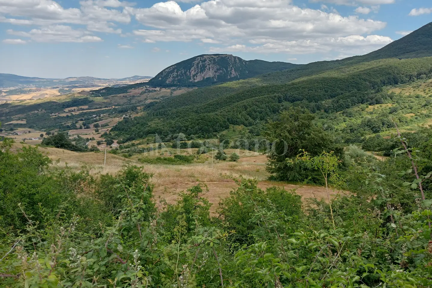 Agricolo in vendita di 155.000 mq a €80.000 (rif. 35/2025)