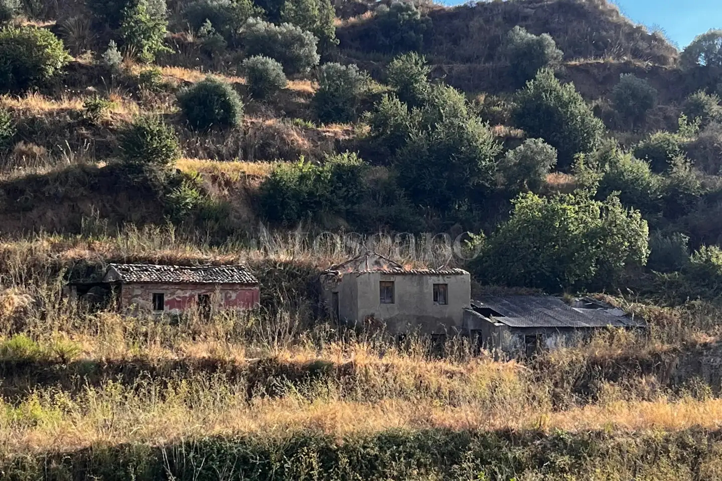 Agricolo in vendita di 42.000 mq a €400.000 (rif. 36/2026)