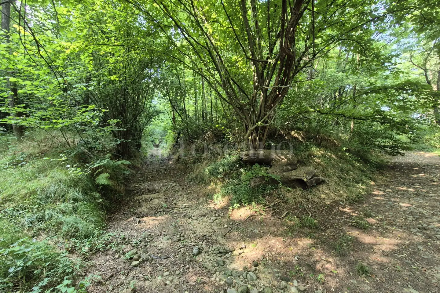 Rustico in vendita di 160 mq a €145.000 (rif. 24/2025)