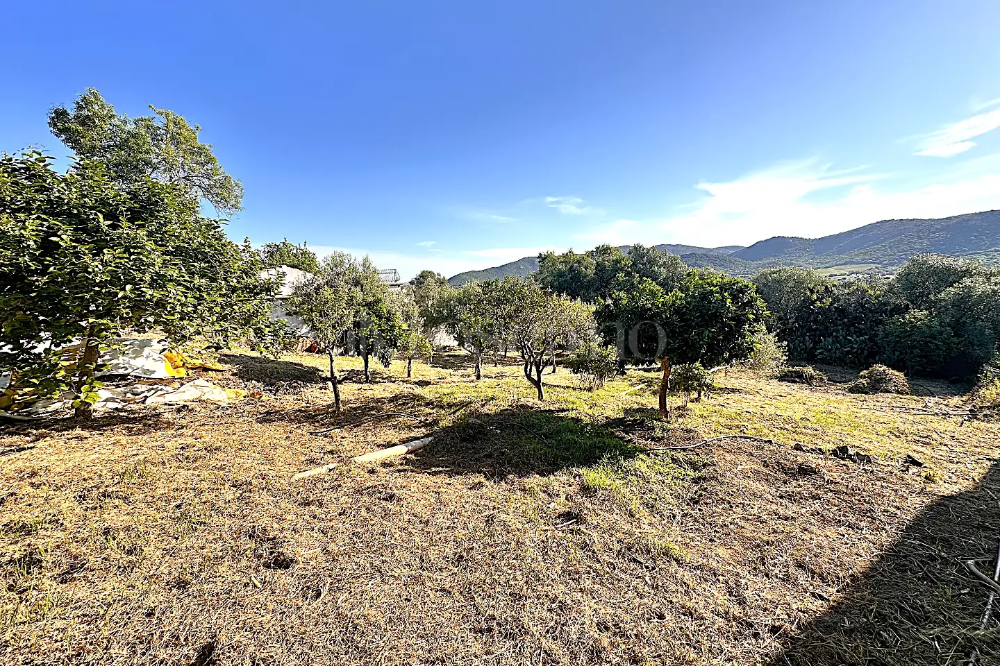 Edificabile Residenziali in vendita di 1.334 mq a €107.000 (rif. 6/2025)