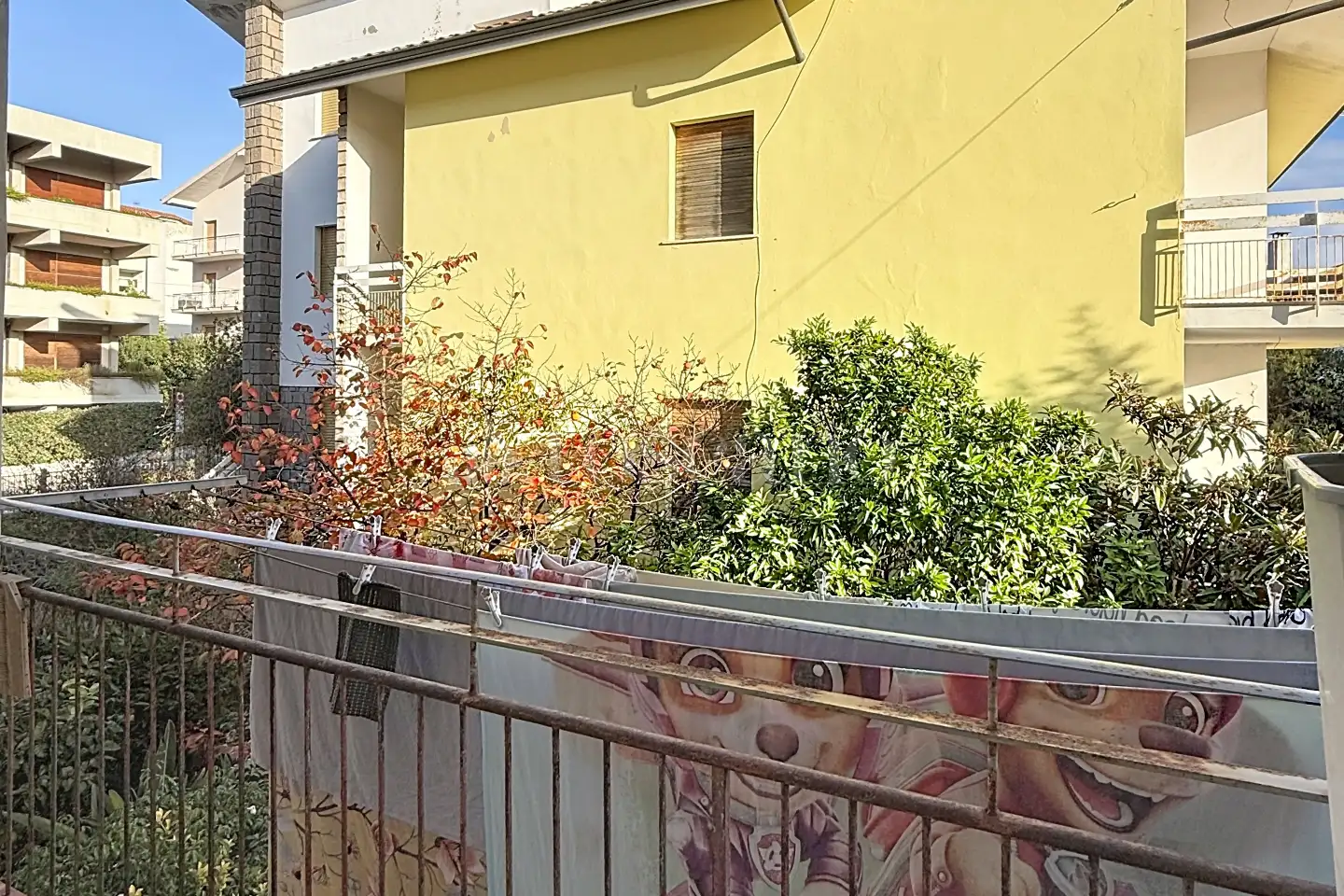 immagine annuncio 5 di 15