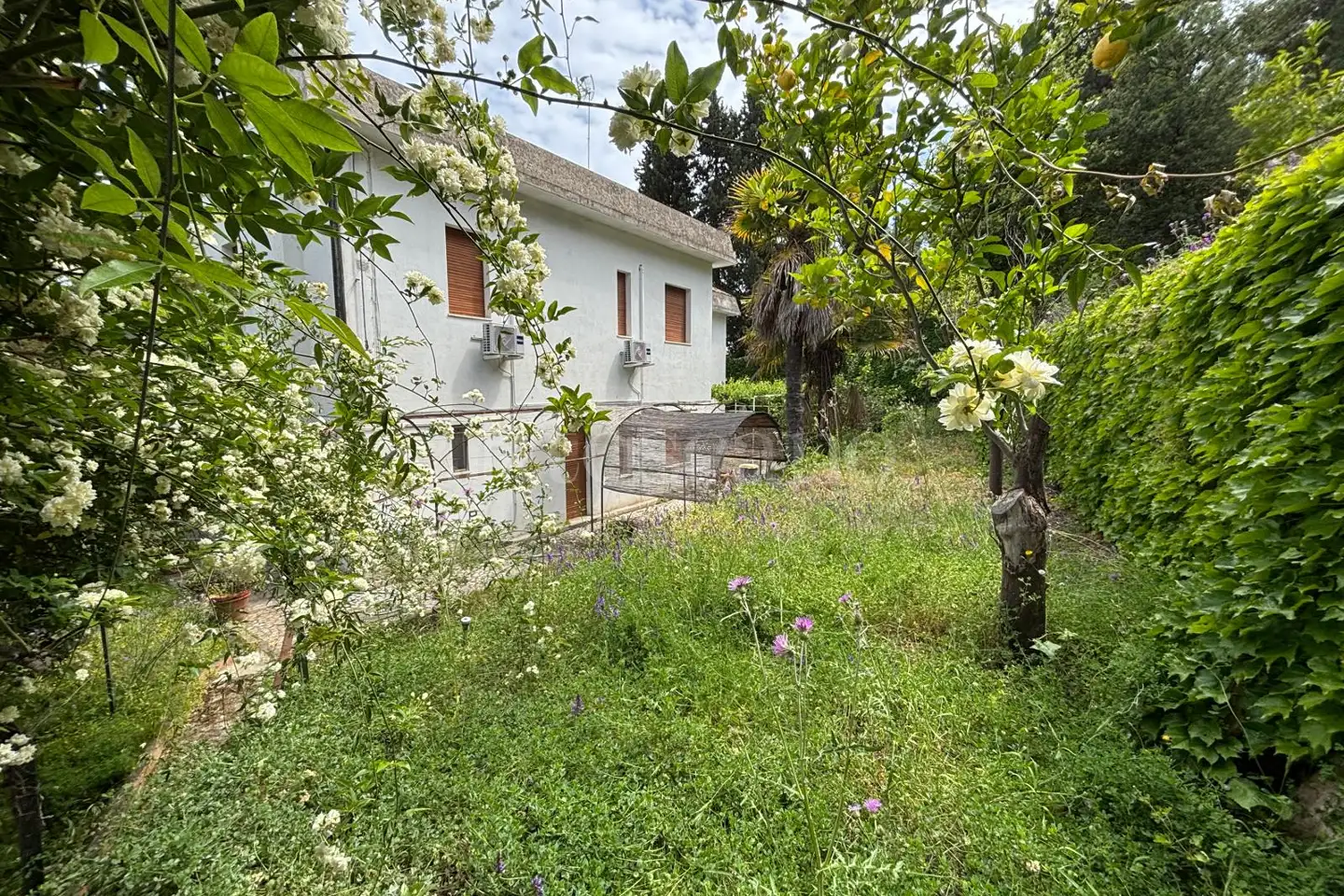 immagine annuncio 7 di 15