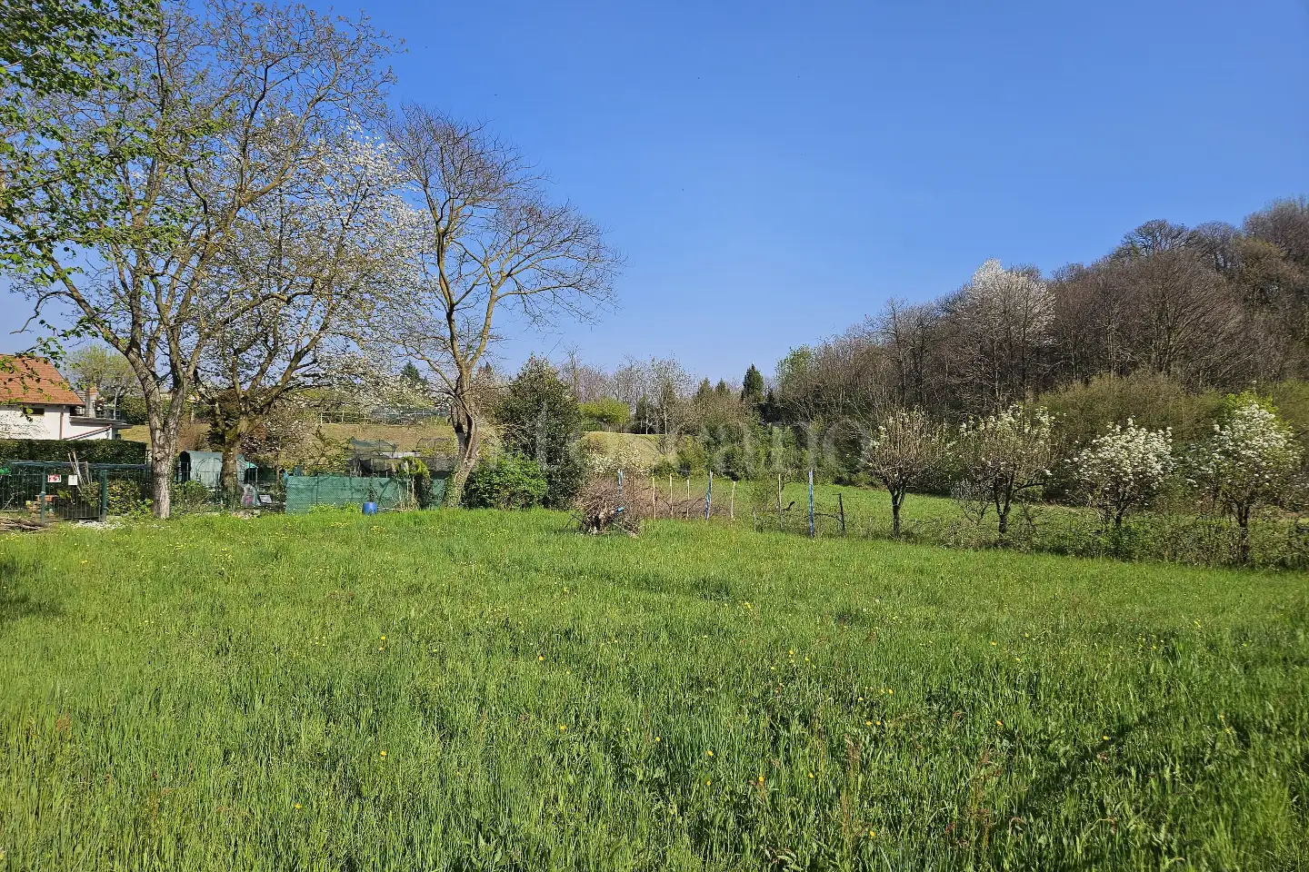 Edificabile Residenziali in vendita di 1.430 mq a €179.000 (rif. 14/2025)