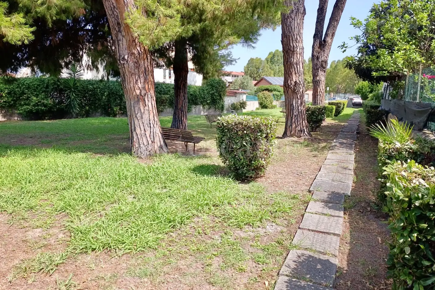 immagine annuncio 12 di 15