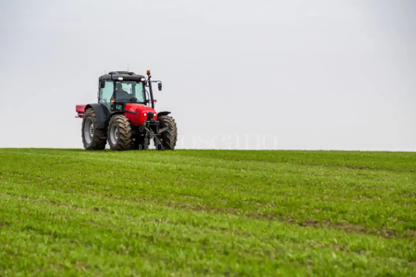Agricolo in vendita di 5.355 mq a €25.000 (rif. 44/2025)
