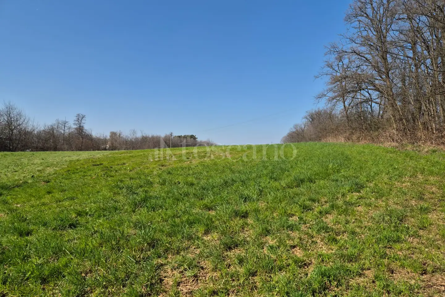 Agricolo in vendita di 80.000 mq a €445.000 (rif. 8/2025)