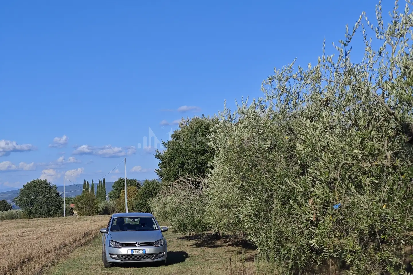 Agricolo in vendita di 2.800 mq a €21.000 (rif. 23/2026)