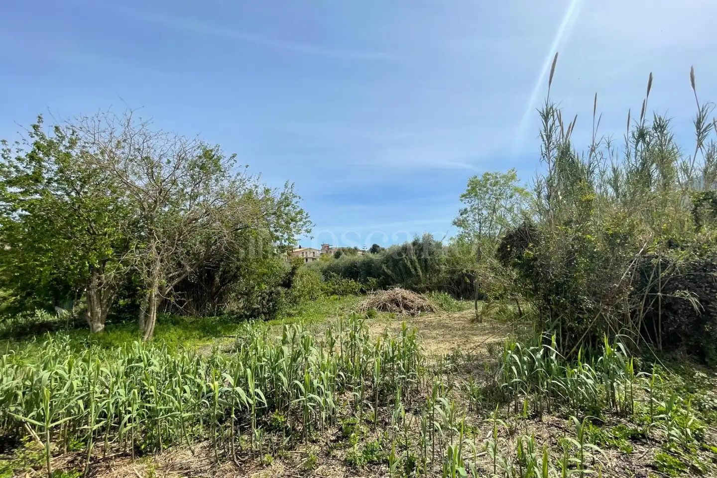 Edificabile Residenziali in vendita di 4.900 mq a €125.000 (rif. 44/2025)