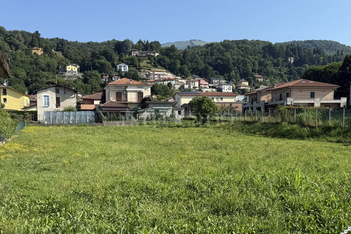 immagine annuncio 5 di 7
