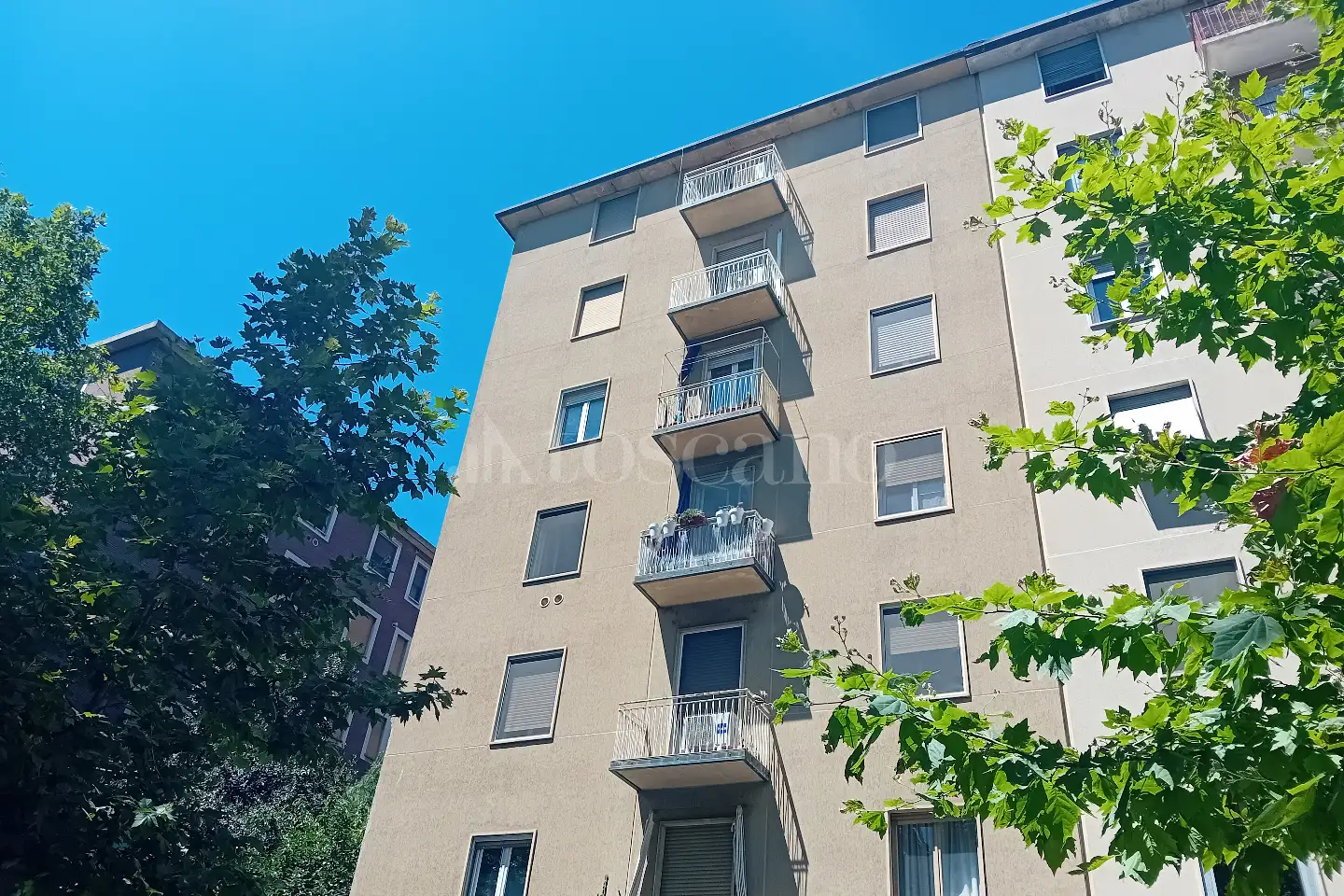 Casa in affitto di 50 mq a €800 (rif. 15/2026)