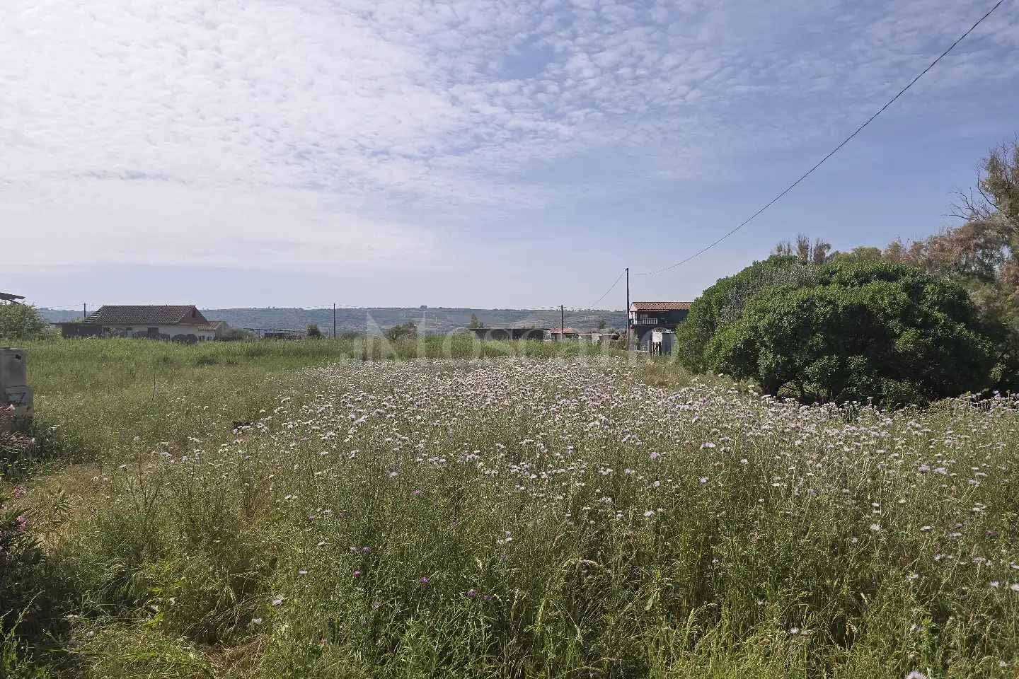 Agricolo in vendita di 1.500 mq a €11.000 (rif. 64/2026)