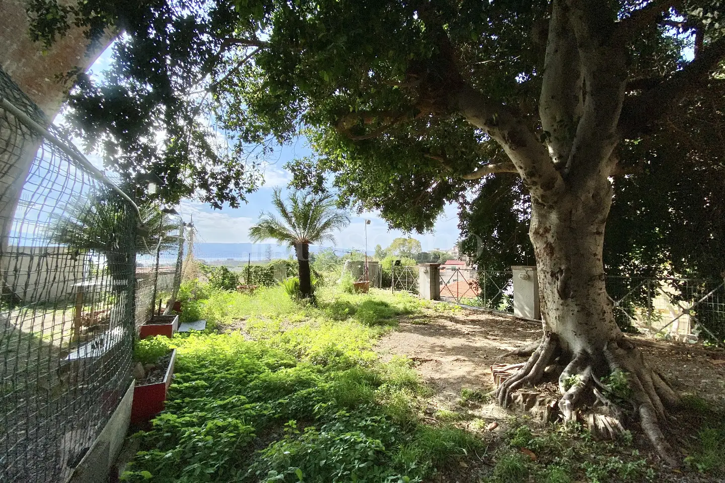 Casa Indipendente in vendita di 56 mq a €77.000 (rif. 45/2026)