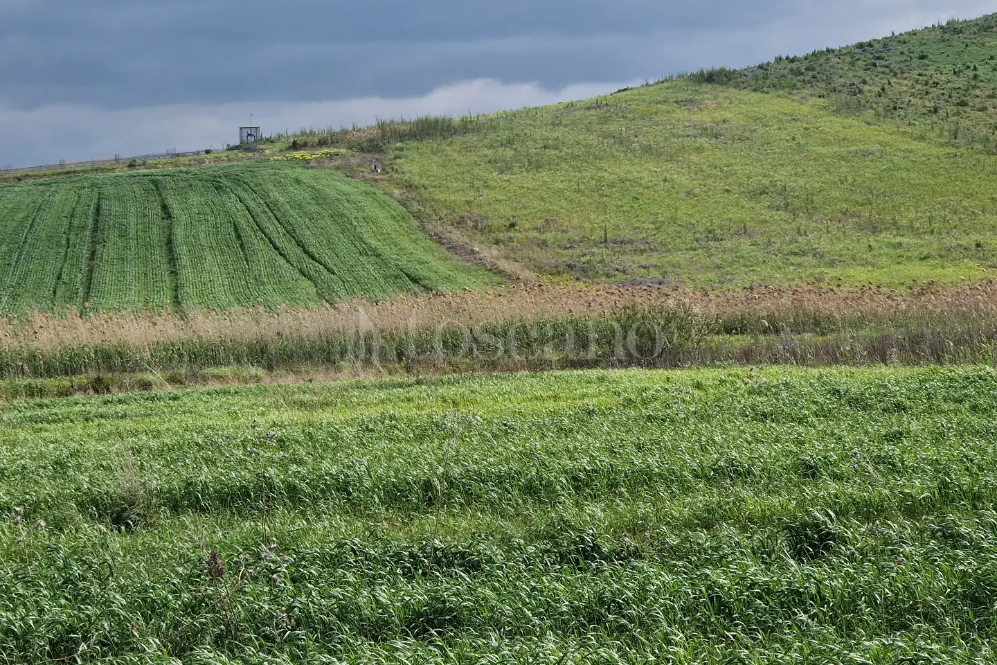 Agricolo in vendita di 30.570 mq a €25.000 (rif. 17/2025)