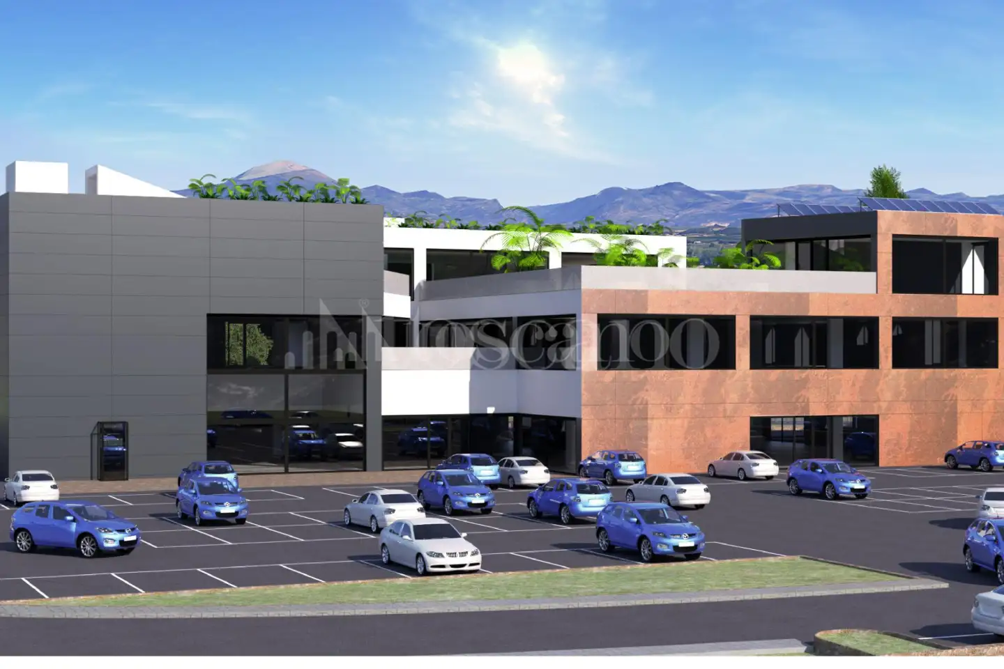 Capannone in vendita di 10000 mq a €3,850,000 (rif. TS0016VE)