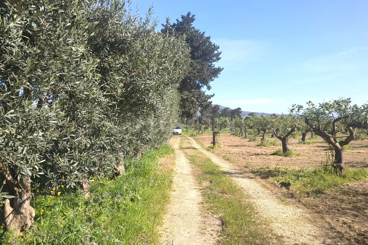 Agricolo in vendita di 14.880 mq a €108.000 (rif. 27/2026)