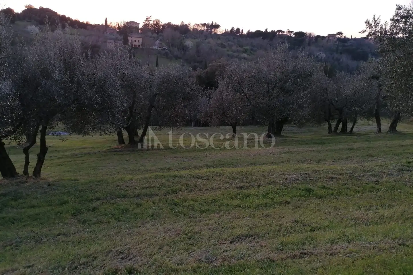 Agricolo in vendita di 15.000 mq a €30.000 (rif. 18/2025)