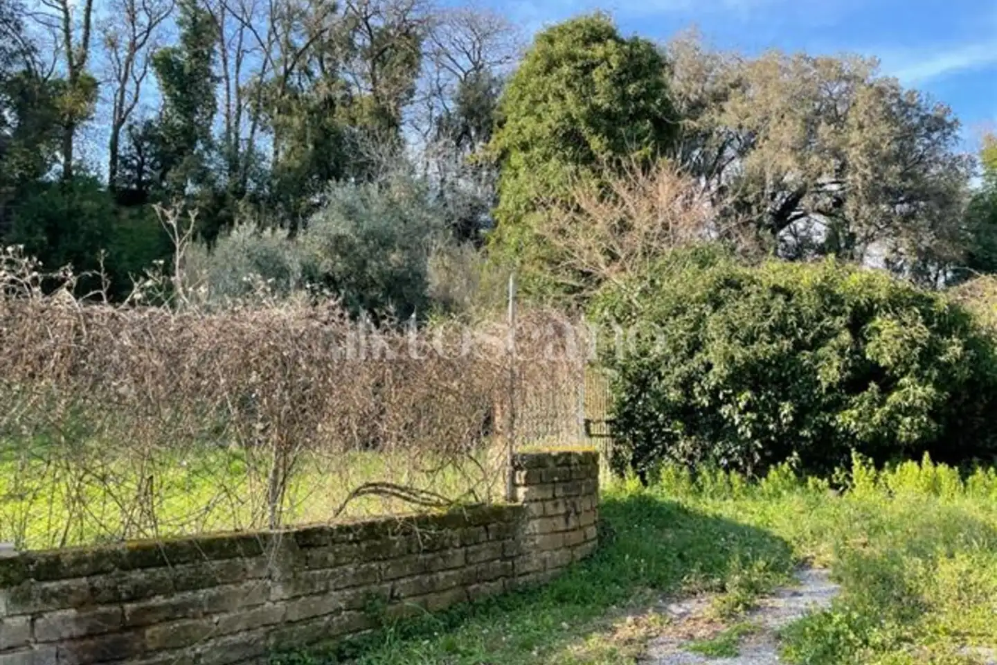 Edificabile Residenziali in vendita di 2.460 mq a €89.000 (rif. 22/2026)