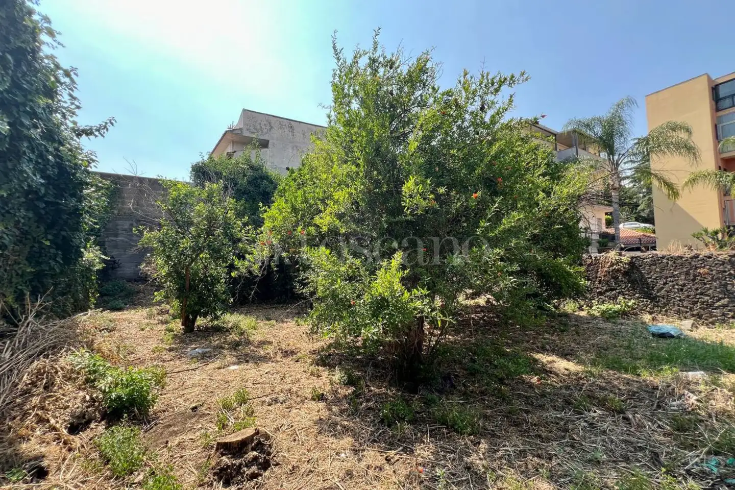 Casa Indipendente in vendita di 59 mq a €39.000 (rif. 113/2025)