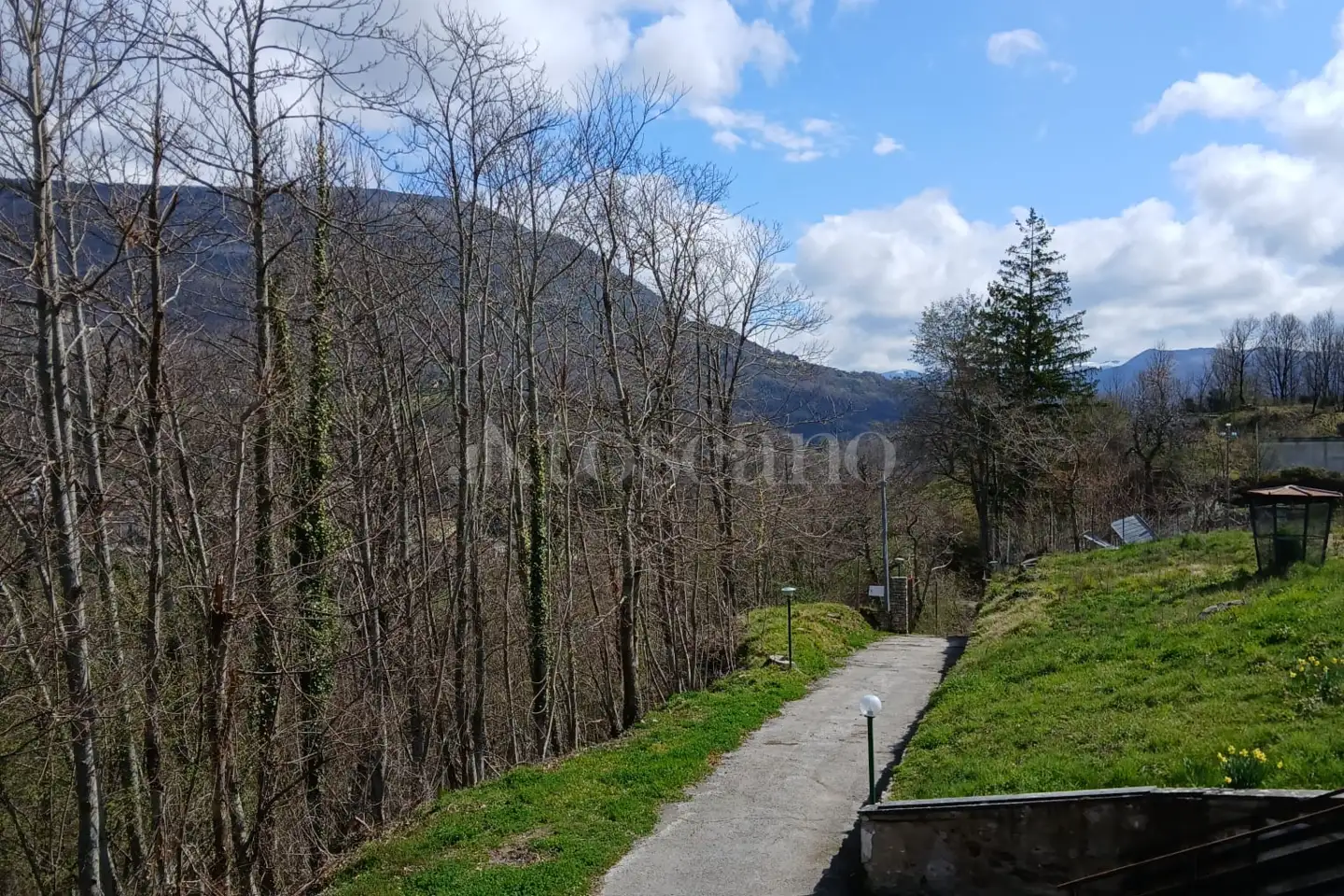 immagine annuncio 5 di 12