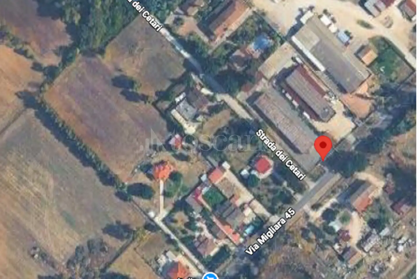 Capannone in affitto di 800 mq a €1.500 (rif. 39/2026)