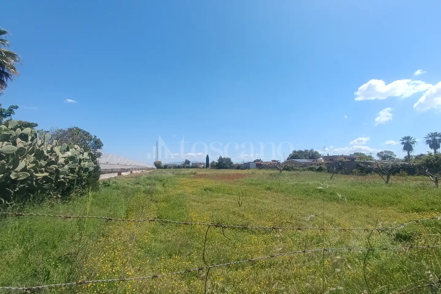 Edificabile Residenziali in vendita di 9.000 mq a €195.000 (rif. 32/2026)