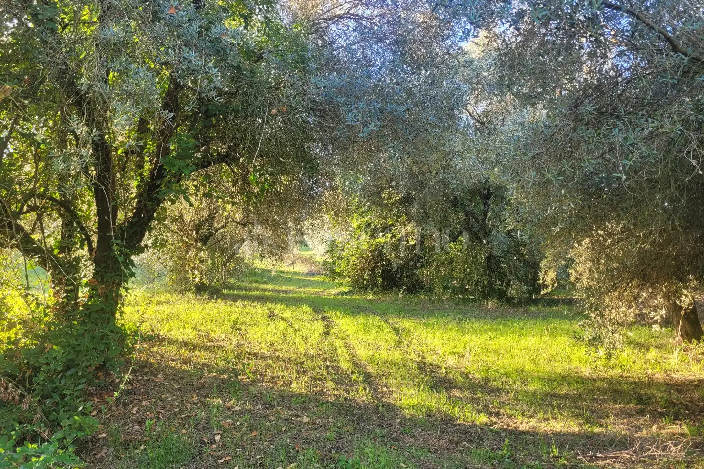Agricolo in vendita di 2.780 mq a €12.900 (rif. 58/2026)